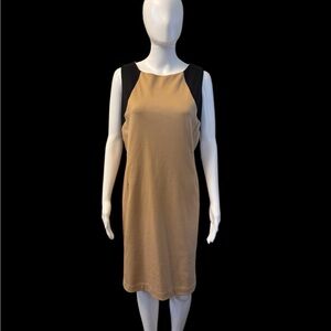 Elegant Tan and Black Midi Dress